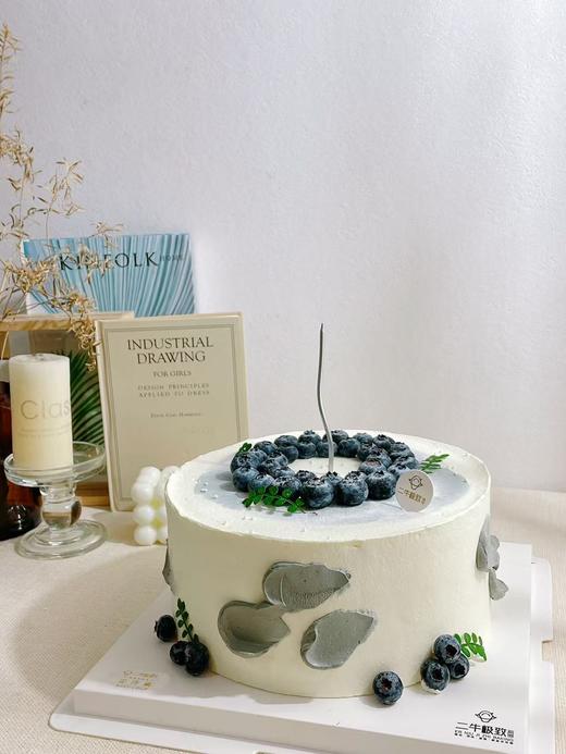 简约蓝莓 商品图1