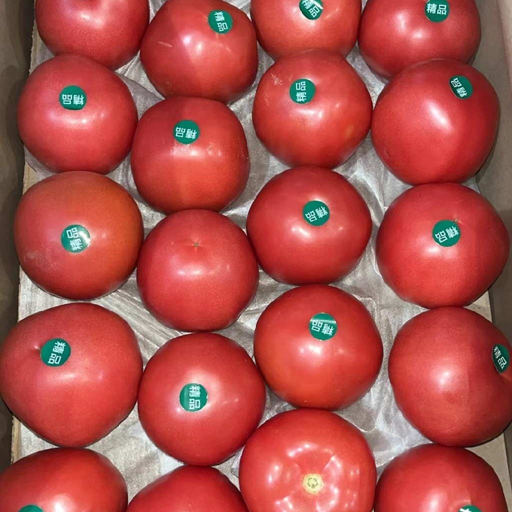 精品西红柿🍅7.9元/斤，明天到