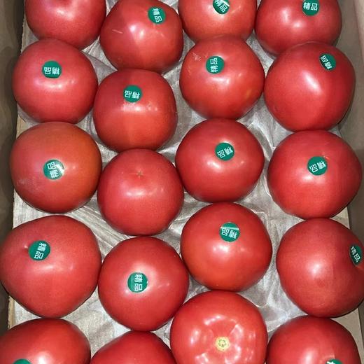 精品西红柿🍅7.9元/斤，明天到 商品图0