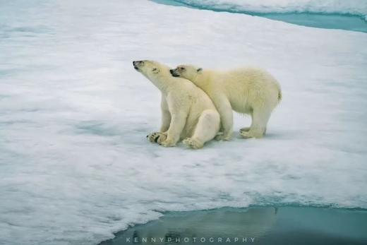 【2026年】北极斯瓦尔巴群岛环线，深入北极熊领地、冰缘探索+法罗群岛摄影14-21天团 商品图4