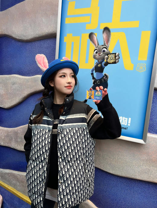 迪奥 Oblique 印花双面穿羽绒马甲（SS） 商品图4