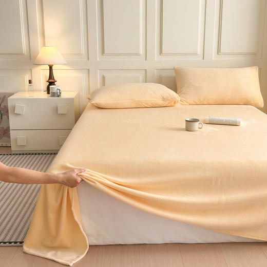 【品牌直发】加倍生活 A类纯色牛奶绒床单 8色可选 yb1028028 商品图1