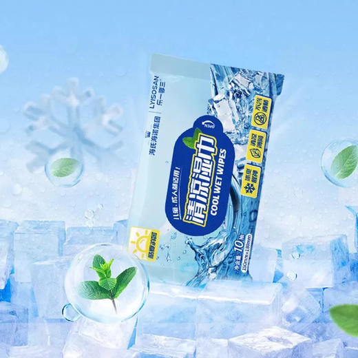 海氏海诺清凉湿巾10片装 商品图2