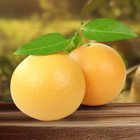 福建漳州 葡萄柚 约7.5-8斤8个装 彩箱（新疆、西藏、内蒙古、黑龙江、吉林、辽宁、甘肃、宁夏、青海不发）