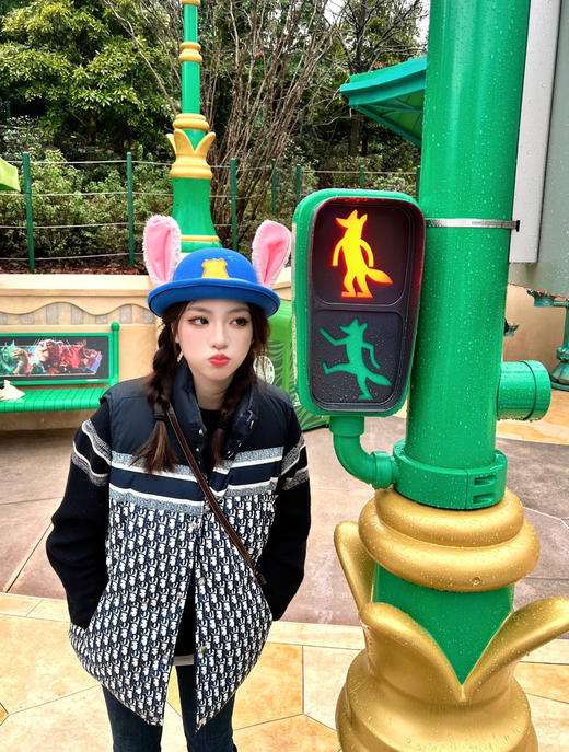 迪奥 Oblique 印花双面穿羽绒马甲（SS） 商品图3