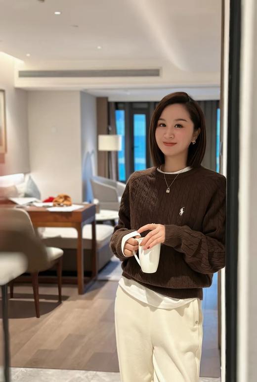 拉夫RL圆领纯色小马刺绣美拉德毛衣 商品图0