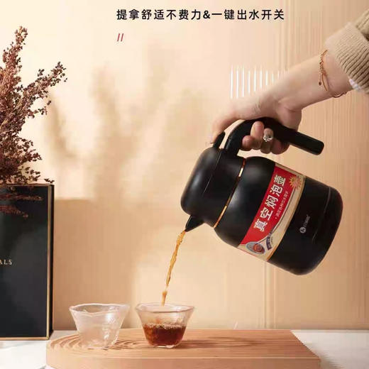 红家园真空焖泡壶900ml 商品图2