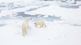 20260903 探索野性北极圈：格陵兰19天摄影团｜满足北极旅行梦想，欣赏绚丽北极光