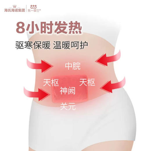 海氏海诺灸热贴百合花款盒装10贴 商品图4