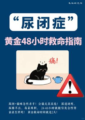 “尿闭症”黄金48小时自救指南