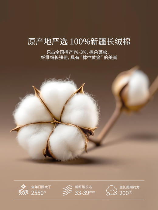 佳丽斯60支全棉轻奢简约纯色金丝四件套 商品图4