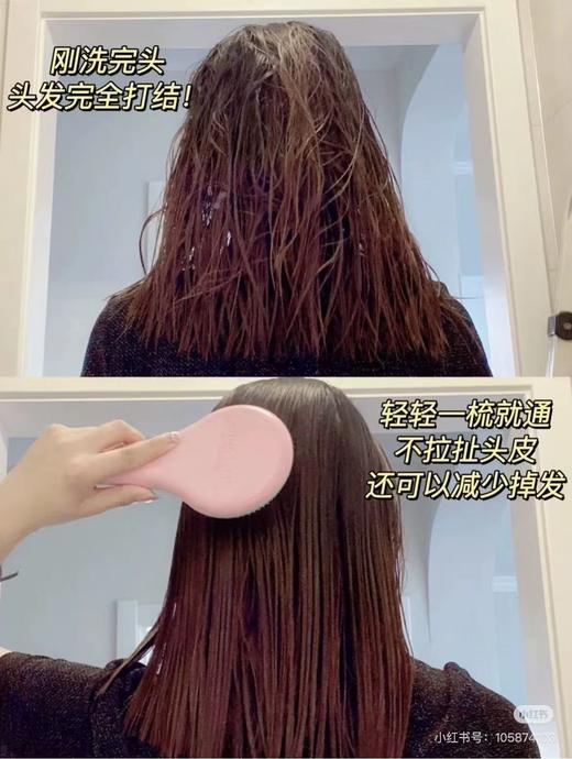 【10.5王炸割肉价】Michel Mercier魔法梳便携梳+手持梳一大+一小 梦幻紫/薄荷绿 商品图6