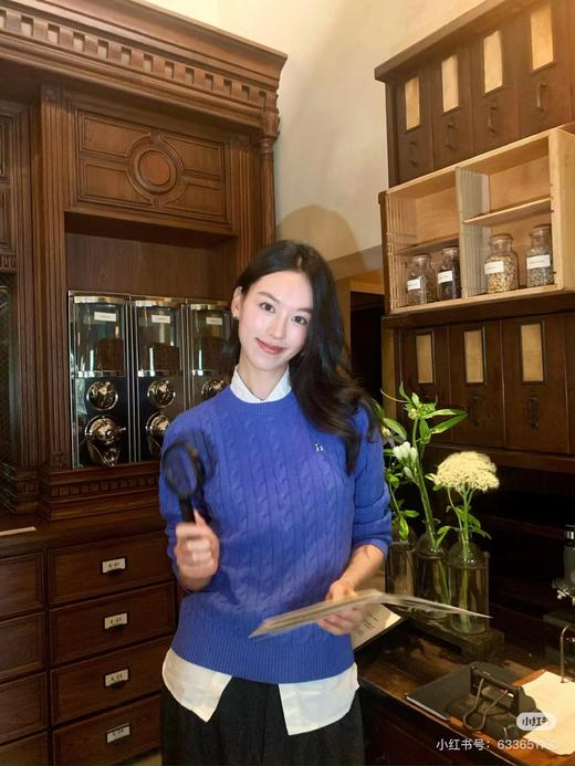 D100421松弛感绞花针织衫女秋季休闲套头羊毛衫潮 商品图13