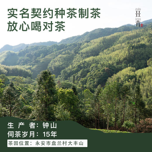 大红袍1号特级乌龙茶2025年闽北乌龙鲜醇甘滑SGS627项农残检测 商品图3