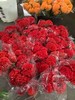 精品花材鸡冠花 商品缩略图4