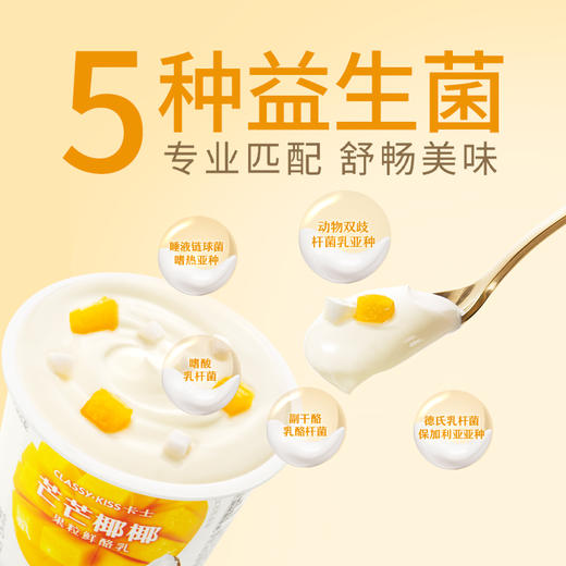 【7天内发出，发出后不支持拦截退货】卡士 芒芒椰椰果粒鲜酪乳 100g*15/100g*18 商品图2