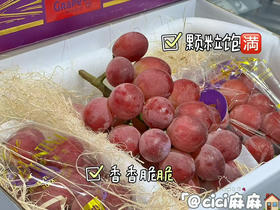 妮娜皇后葡萄（80/斤，具体称重多退少补）