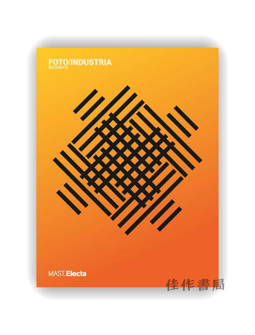 Foto/Industria Bologna '15 / 2015年博洛尼亚摄影工业双年展 商品图0