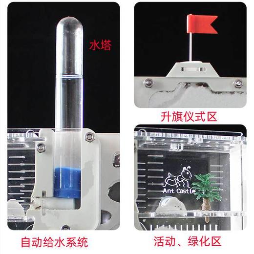 高级多用型蚂蚁城堡【二合一巢穴！自动饮水保湿】蚂蚁工坊|生态玩具科学试验教具蚁巢蚁窝房屋套装。hb 商品图3