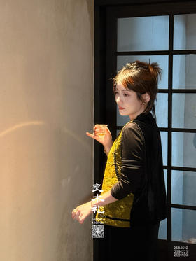 国风系列——丝绒国风马甲