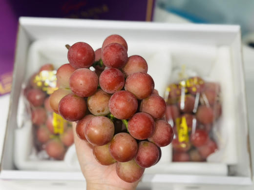 妮娜皇后葡萄（80/斤，具体称重多退少补） 商品图1