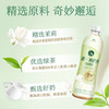统一阿萨姆茉莉奶绿奶茶饮料 商品缩略图1