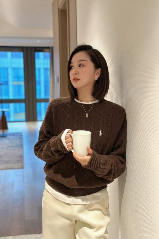 拉夫RL圆领纯色小马刺绣美拉德毛衣 商品图1