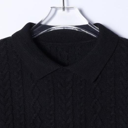 257142SDSA男士秋冬新款痞帅男装简约纯色纽花翻领毛衣百搭慵懒风针织衫 商品图2