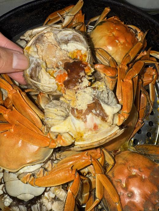 《合作5年认证蟹农》蟹小漾阳澄湖大闸蟹礼品卡/支持视频定位验真/阳澄湖蟹池现场提货 商品图10