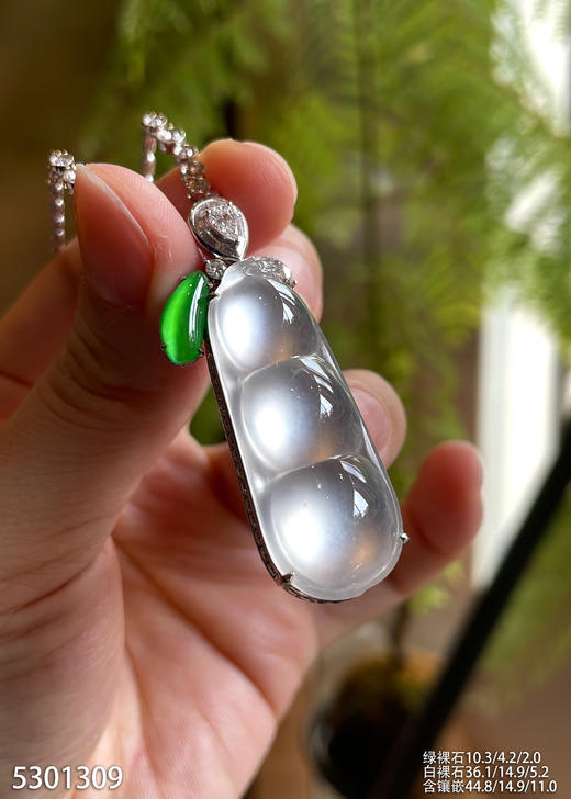 玻璃种福豆吊坠【5301309】具体价格微信咨询 商品图1