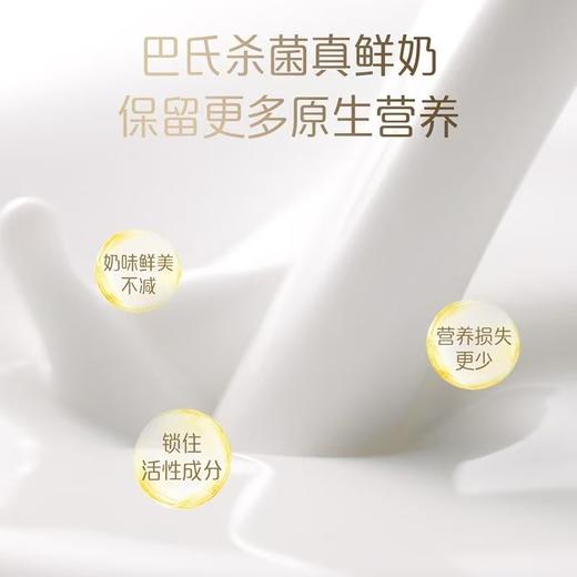 【7天内发出，发出后不支持拦截退货】卡士 鲜牛奶 250ml*15 商品图2