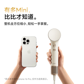 徕芬Laifen高速吹风机 Mini沙金色礼盒 速干家用电吹风 便携负离子护发吹风筒 生日礼物