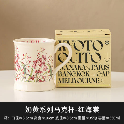 【跨境出口法式马克杯】法式复古马克杯陶瓷喝水杯高颜值早餐牛奶杯咖啡杯家用情侣杯带柄 商品图5