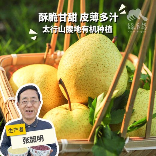 有机酥梨 | 合作生产 *Organic crisp pear | Partner Production 商品图0