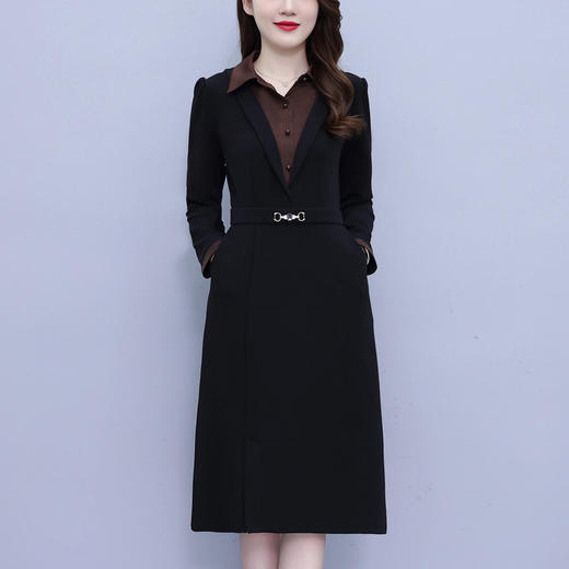 雀说轻奢高级感长袖连衣裙新款洋气质假两件裙子AL2650 商品图3