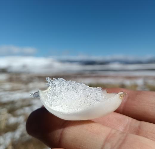 生态高原百合干 | 公平贸易 |*Ecological Plateau Dried lily 商品图2