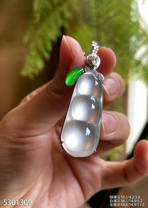 玻璃种福豆吊坠【5301309】具体价格微信咨询 商品图2