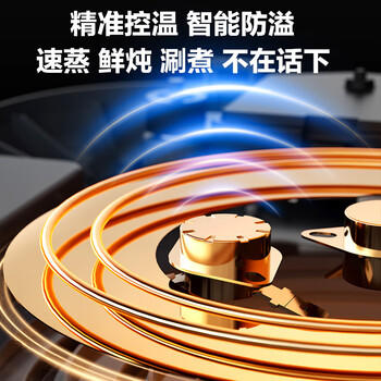 苏泊尔（SUPOR）电蒸锅 家用多功能炖蒸煮一体电热锅 0涂层不锈钢蒸屉 电煮锅 18L多用途锅 ZN30FC669 商品图8