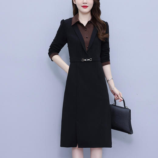 雀说轻奢高级感长袖连衣裙新款洋气质假两件裙子AL2650 商品图1