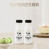 【7天内发出，发出后不支持拦截退货】卡士 鲜牛奶 250ml*15 商品缩略图0