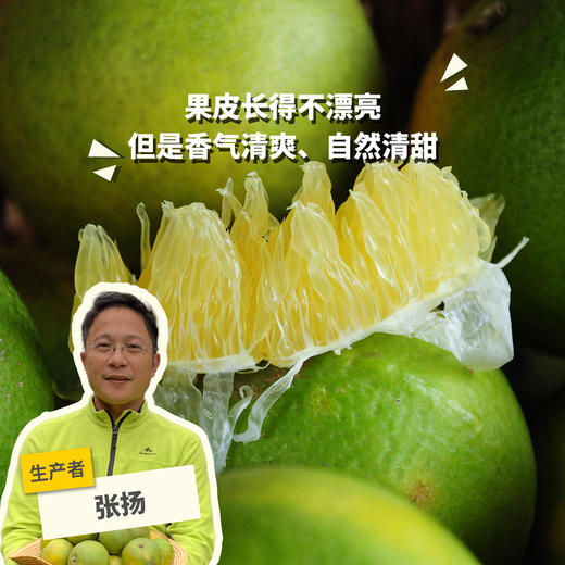 生态柳丁| 合作生产 *Eco-Orange | Partner Production 商品图0