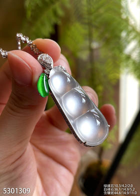 玻璃种福豆吊坠【5301309】具体价格微信咨询