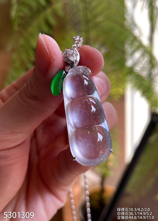 玻璃种福豆吊坠【5301309】具体价格微信咨询 商品图3