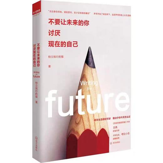 【独家旧书3折】不要让未来的你讨厌现在的自己  二手书籍（新疆 西藏 甘肃 青海 海南不发货）bj 商品图0