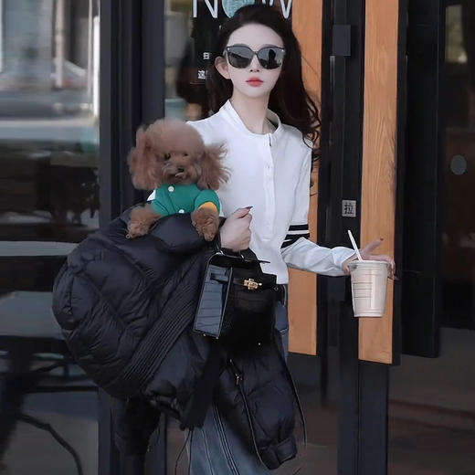 5F-LYY529-RMX1108时尚立领加厚T恤女2025秋冬季新款三条杠修身打底衫洋气保暖上衣 商品图2