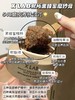 董洁同款身体磨砂膏黑蜂蜜胡桃壳玻尿酸身体膏 商品缩略图2