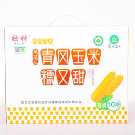 有机糯玉米 黑龙江寒地黑土地有机种植青风玉米糯又甜 10穗（约2500g）【京东快递送货上门】