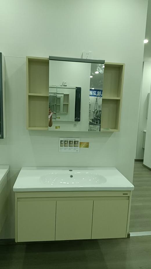 法恩莎卫浴 浴室柜FJGD3615H-2423-100 商品图1