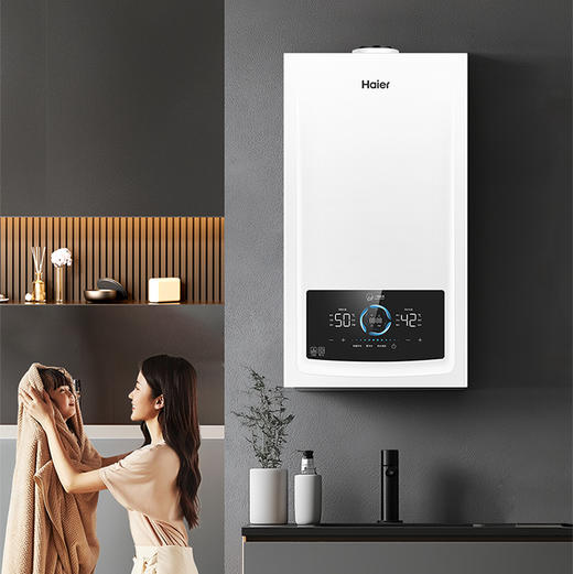 海尔（Haier）采暖炉 LL1PBD26-JN7PLUSNRPCU1 商品图0