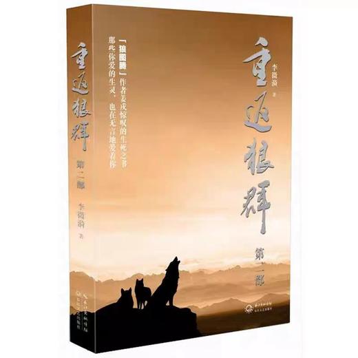 【独家旧书3折】重返狼群 二手书籍（新疆 西藏 甘肃 青海 海南不包邮）bj 商品图0